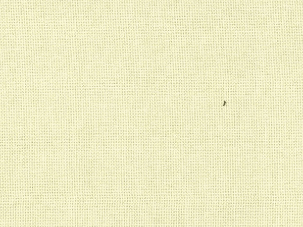 Envisage Fabric Swatch Modern Fabric - Beige (Colour Swatch) Bed Kings